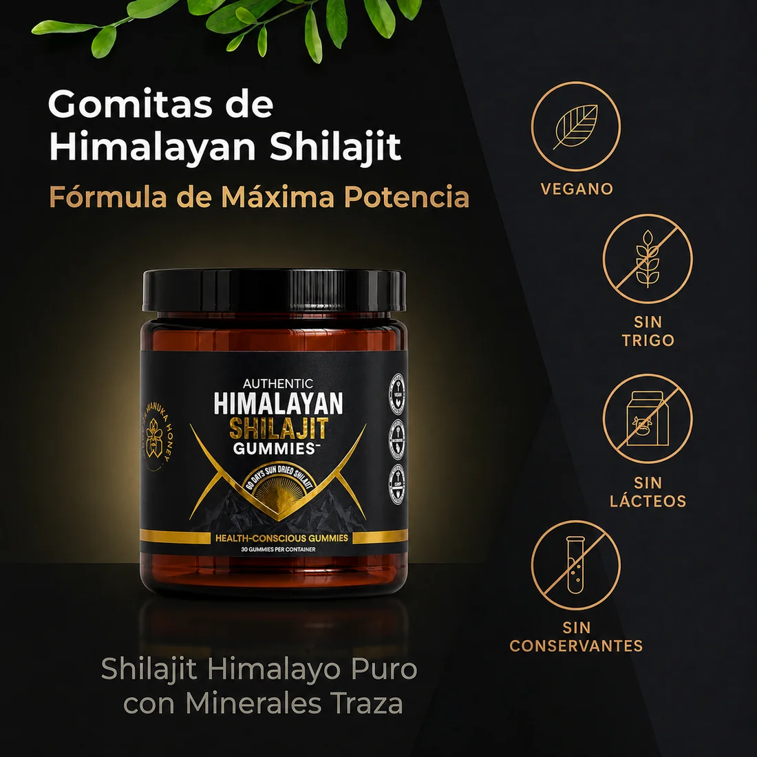 Himalayan Resin Shilajit